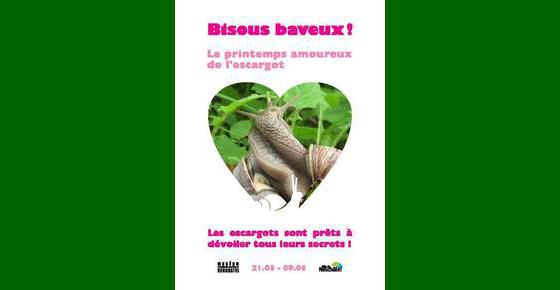 PRÉSENTATION ET FILM : BISOUS BAVEUX - Le printemps amoureux des escargots