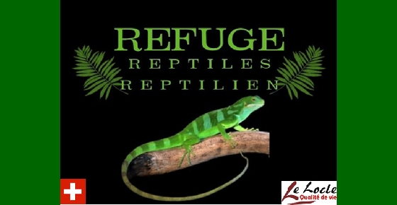 Refuge Reptiles-Reptilien