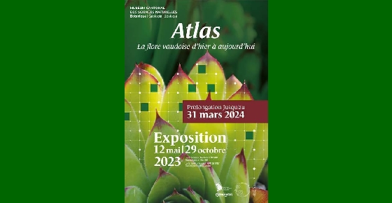 Atlas – la flore vaudoise d'hier à aujourd'hui