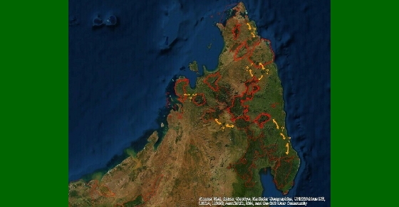 Images satellites : Identifier les forêts à protéger en priorité