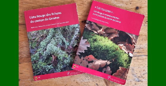 Les bryophytes et lichens dans les Listes Rouges du canton de Genève